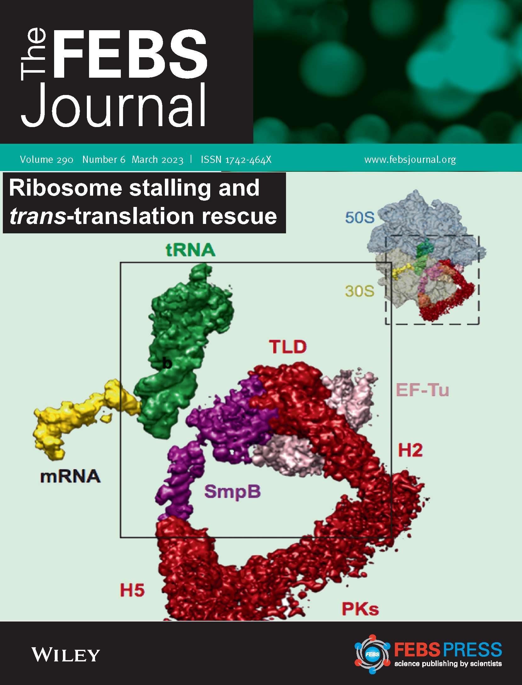 The Yin Lab Laboratory Of Neurometabolism And Neuroinflammation